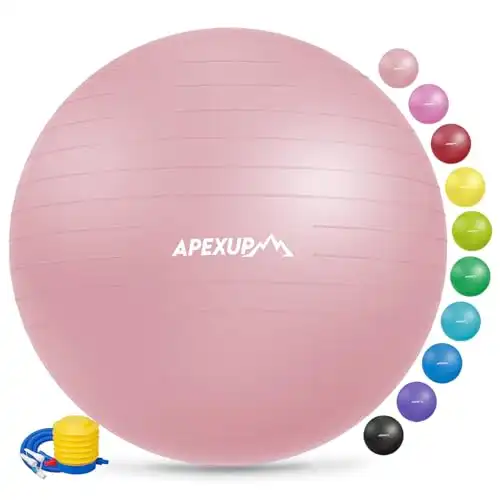 APEXUP Yoga Ball Exercise Ball